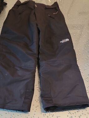 The North Face Black Insulated Ski Pants